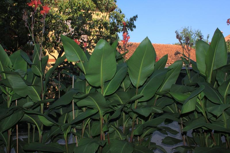 One-Bedroom Apartment with Terrace image 2