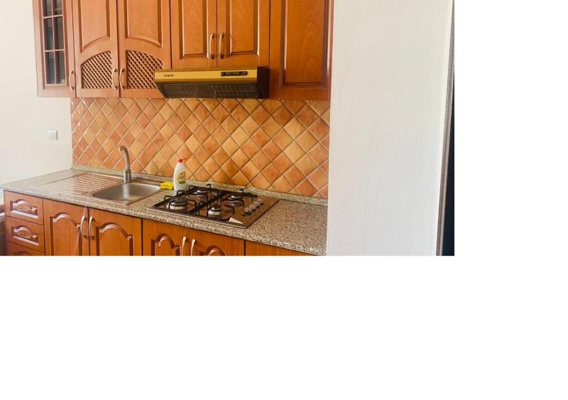 One-Bedroom Apartment image 3