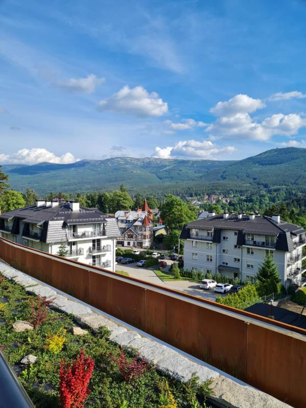 Villa Mountain View Apartamenty - image 12