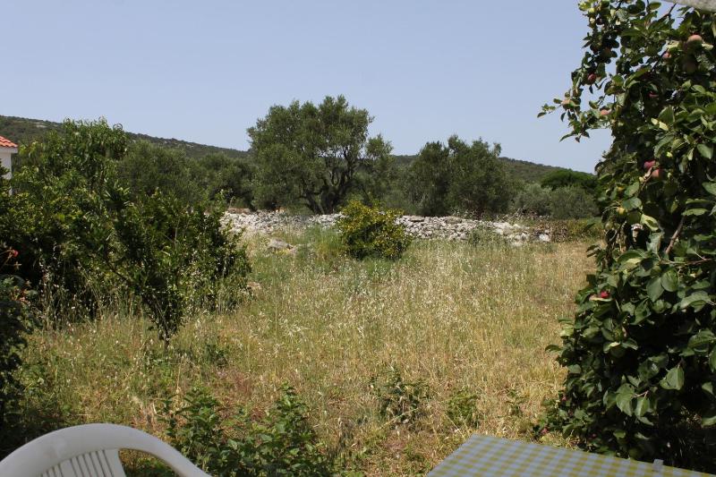 Studio with Terrace image 2