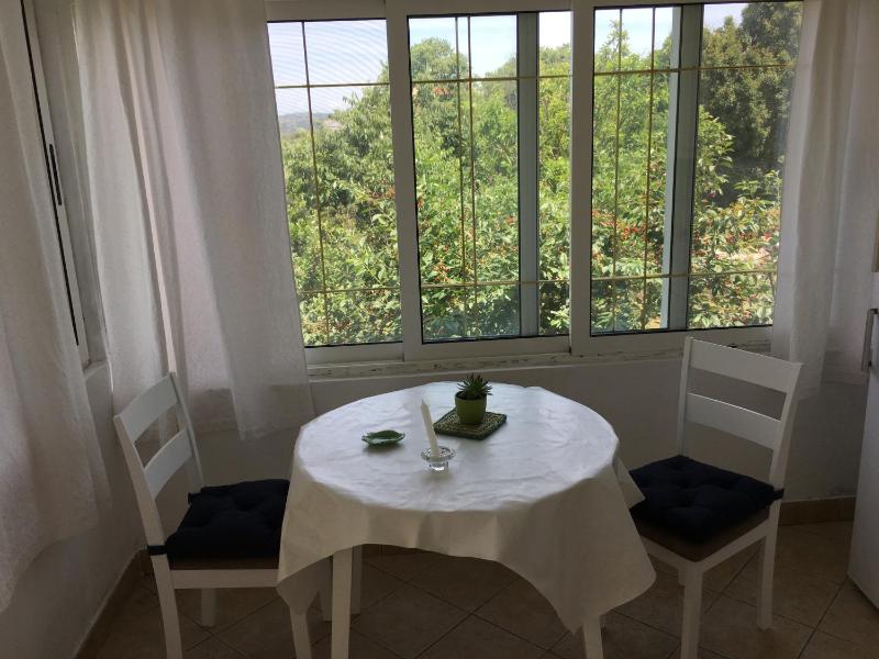 Studio with Terrace image 4