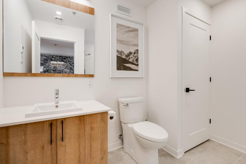 Tremblant-Les-Eaux Le Contemporain by Gestion ELITE - image 28