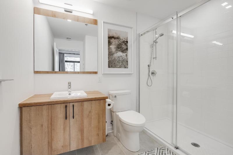 Tremblant-Les-Eaux Le Contemporain by Gestion ELITE - image 7