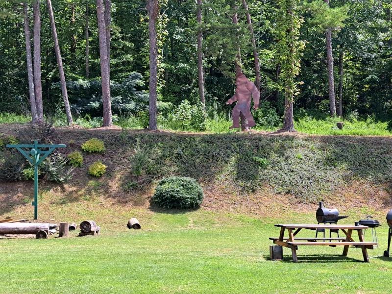 Blue Sky Inn- Complimentary Happy Hour Th-Sun Veteran owned Full Breakfast Best green space 1 mile from Blue Ridge Fire Pit - image 14
