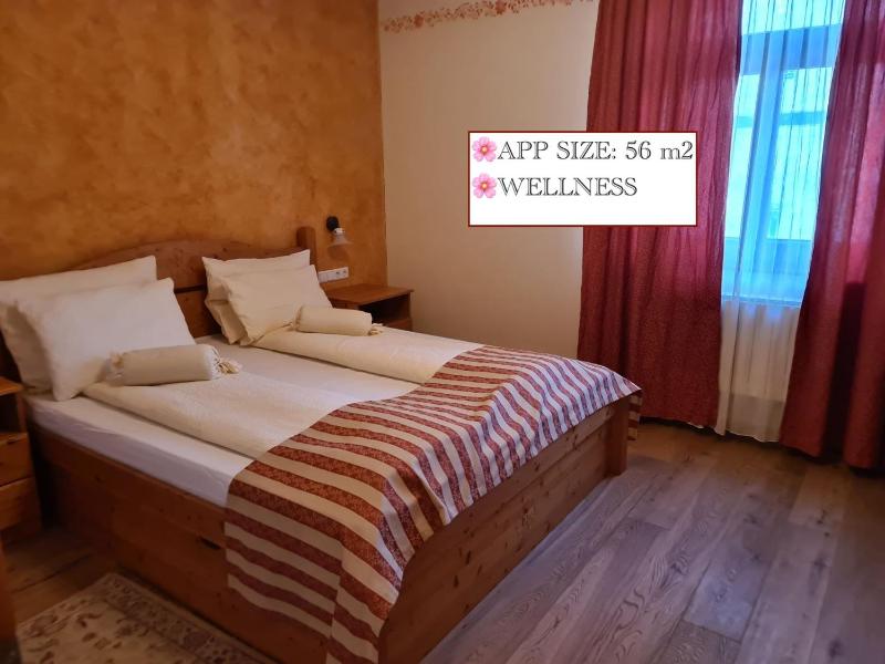 One-Bedroom Apartment image 1