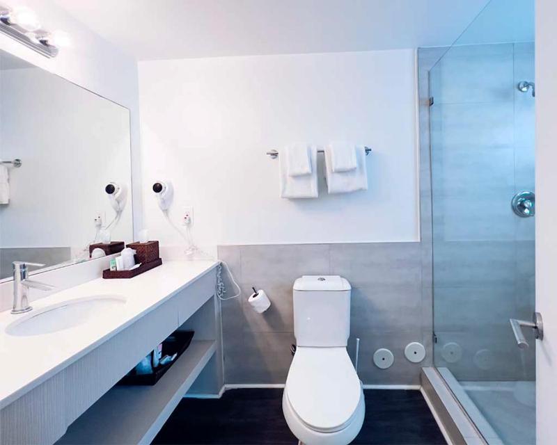 One-Bedroom Suite image 2