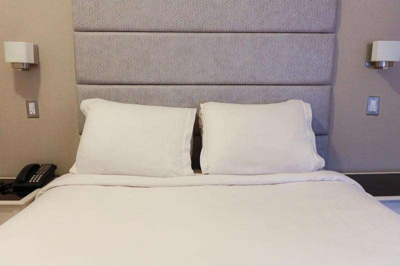 Da Vinci Hotel - image 3