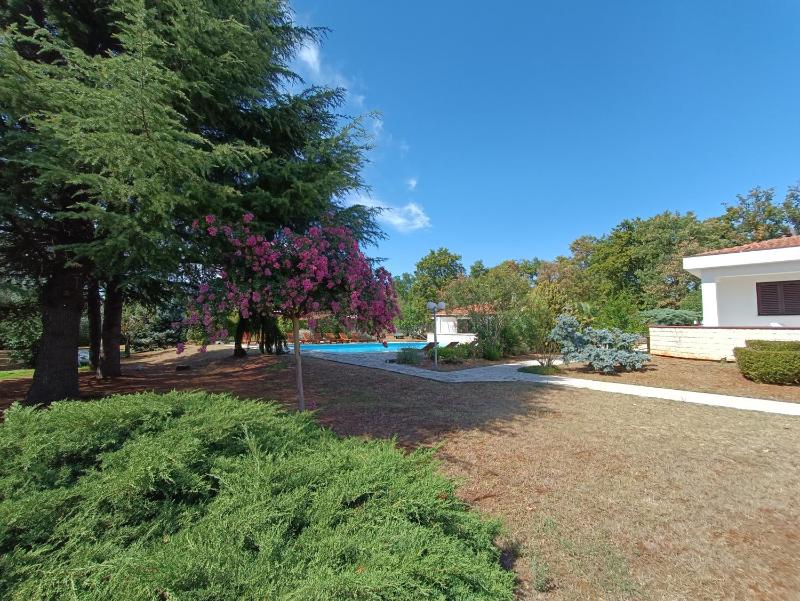 Hotel Holiday - image 18