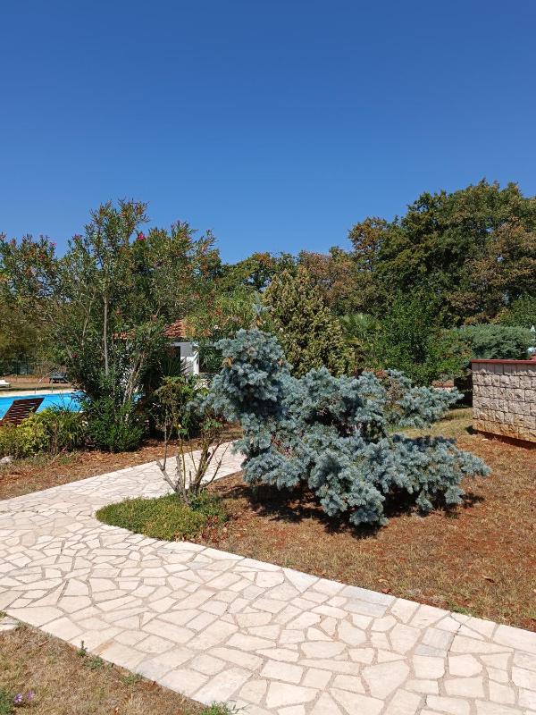 Hotel Holiday - image 27