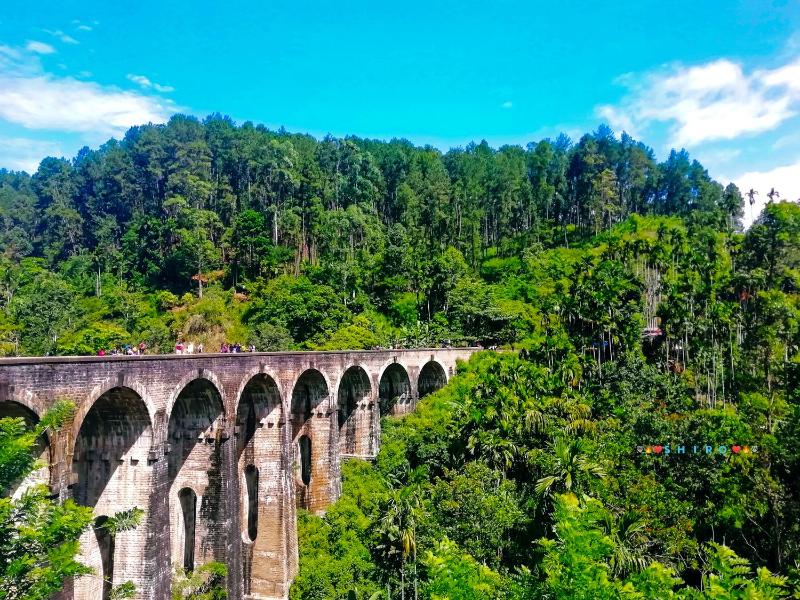 Saddle Cottage - image 11
