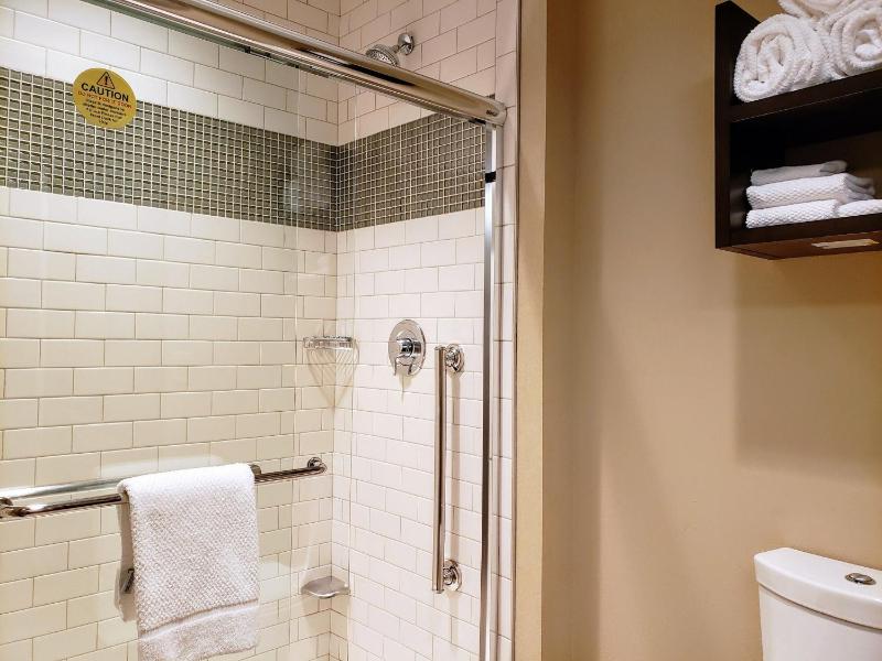 King Studio Suite image 4