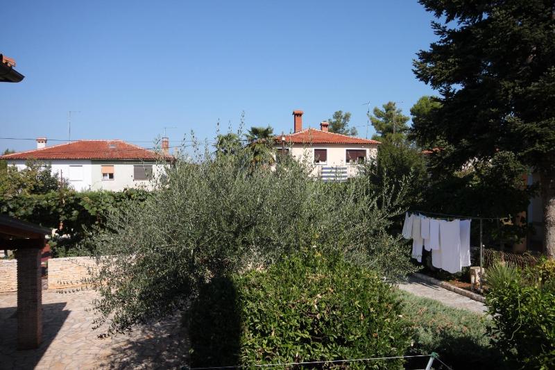 One-Bedroom Apartment with Terrace image 2