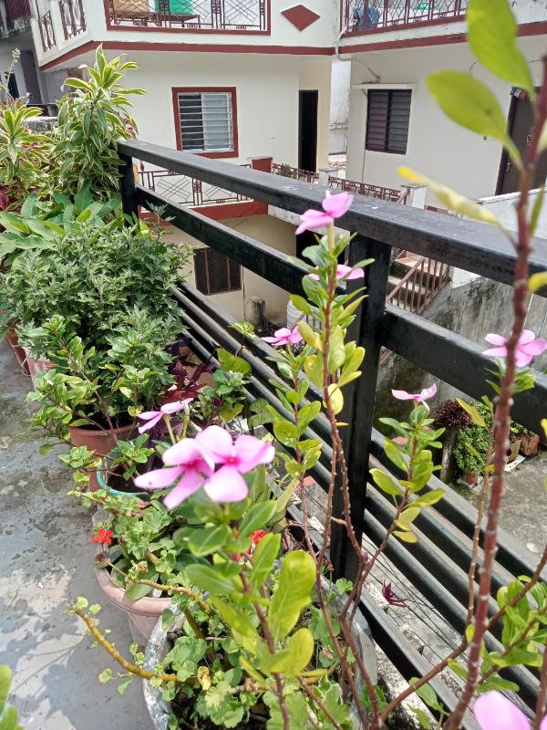 Shiva Homestay - image 12