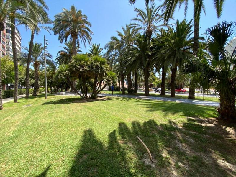City loft puerto deportivo - image 20
