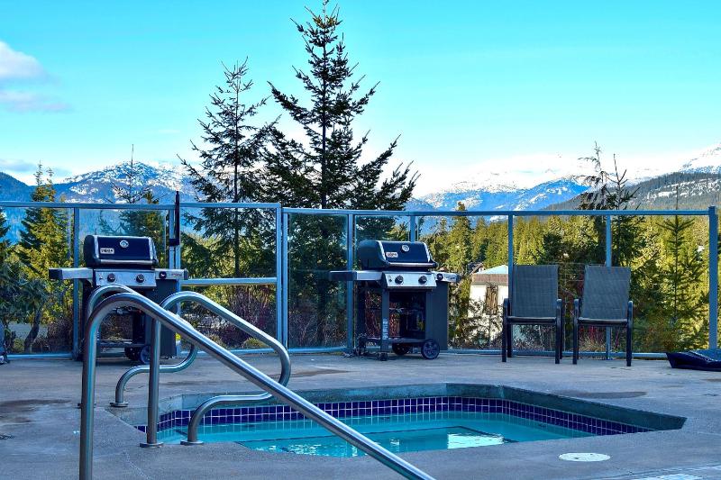 2BR | Ironwood | Fireplace | Common Area Hot Tub | Private Patio | Parking - image 14