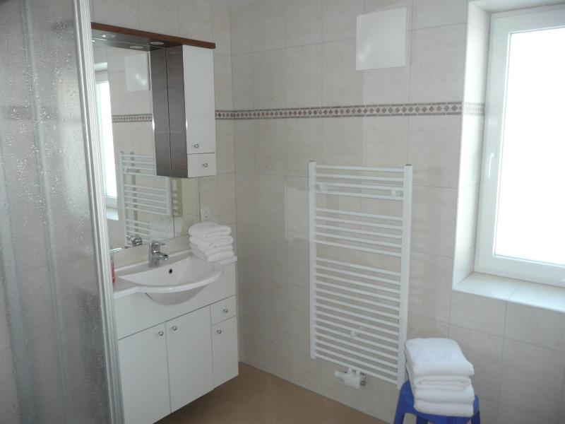One-Bedroom Apartment with Balcony and Terrace image 4