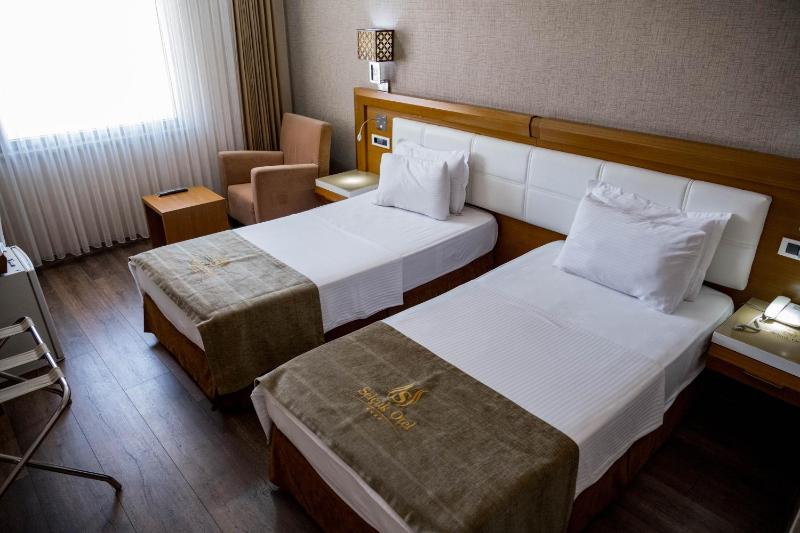 Standard Twin Room image 3