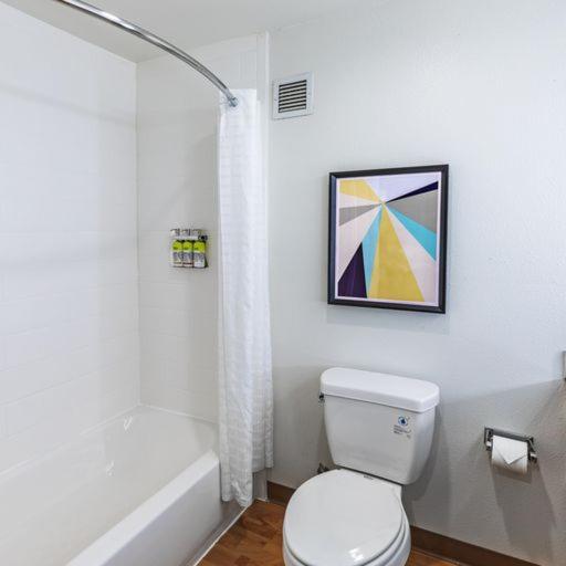 Studio Suite image 1