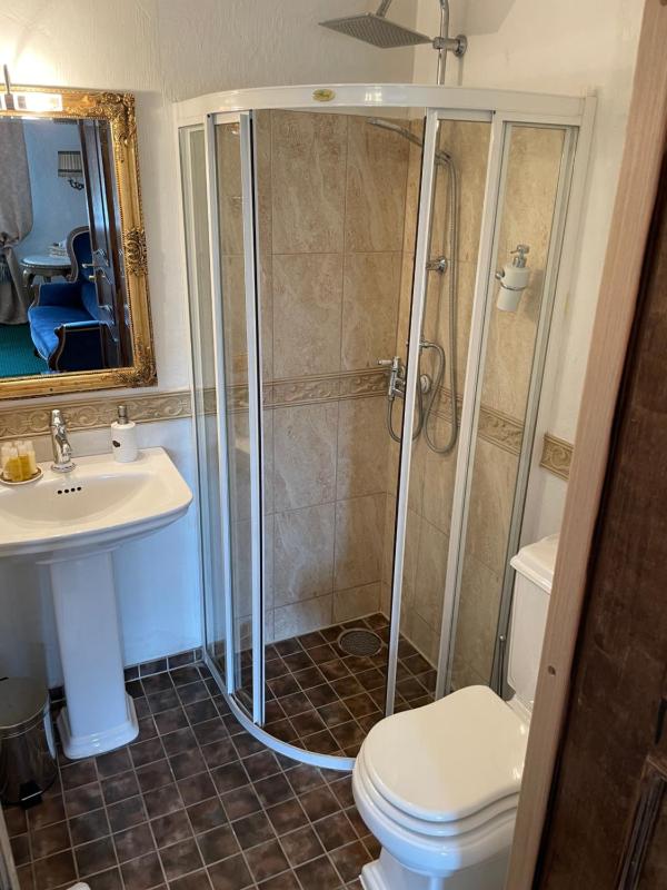 Deluxe Double or Twin Room image 2