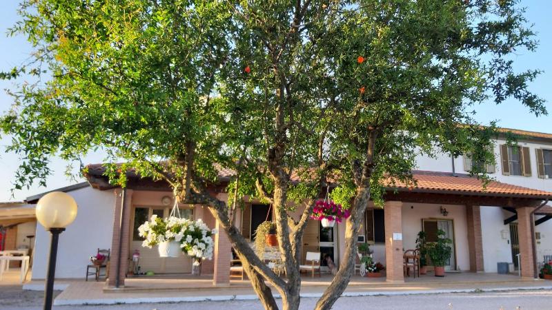 Apartment - Ground Floor image 3