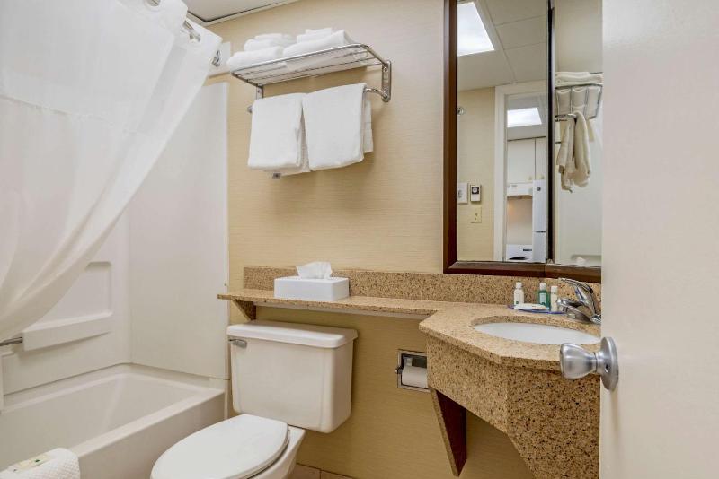 Efficiency 1 King Bed,2 Person Sofabed, Balcony, Partial Ocean View, Non Smoking image 3