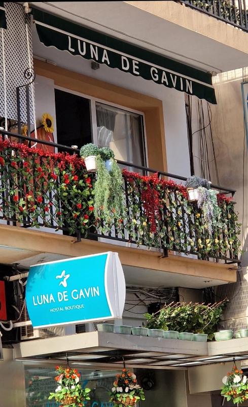 Hostal Boutique Luna de Gavín - image 42