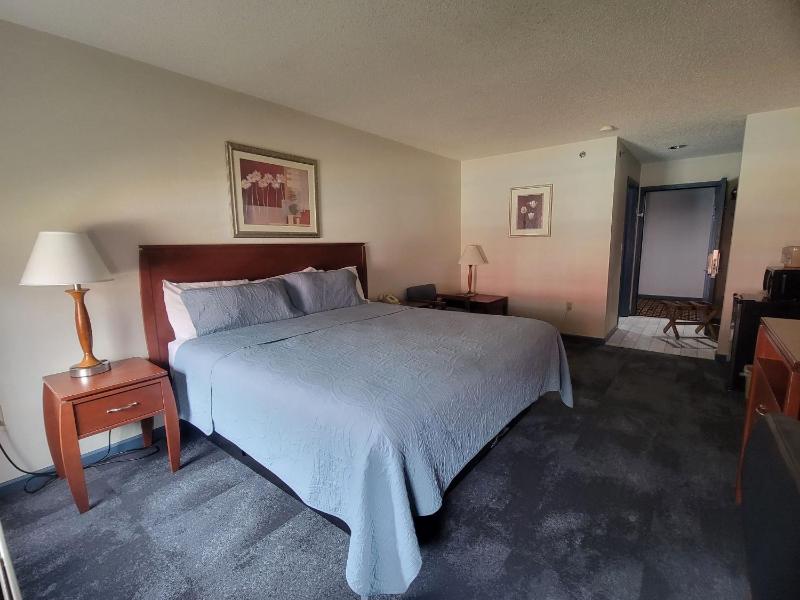 King Room with Pool View image 2