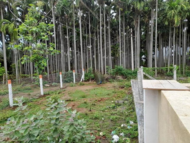 SHI's Bhairavi Peaceful 2bhk villa - - On the way 2 isha-Adiyogi  Maruthamalai - image 2