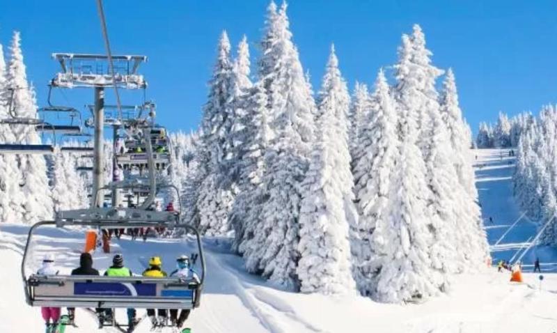 KATARINA - Lux two bedroom apartment in ski resort Kopaonik - image 9