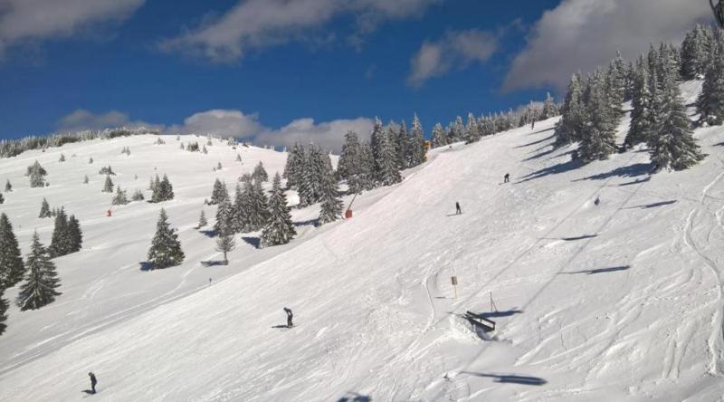 KATARINA - Lux two bedroom apartment in ski resort Kopaonik - image 5