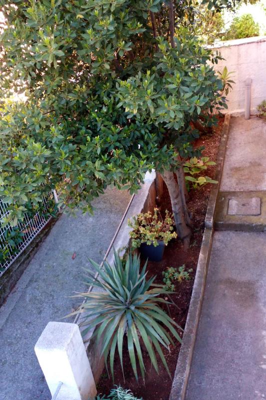 Apartments by the sea Selce Crikvenica - 15323 - image 21