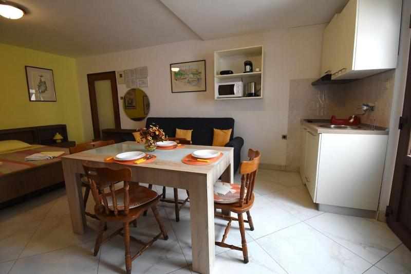 Studio with Terrace image 4