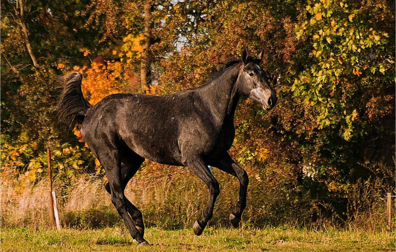 Three-Bedroom Holiday Home  image 3