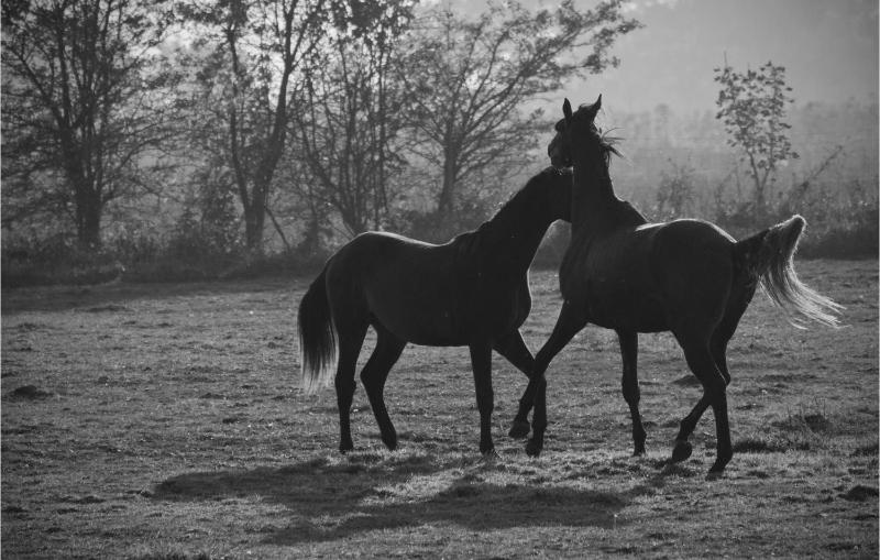 Three-Bedroom Holiday Home  image 2