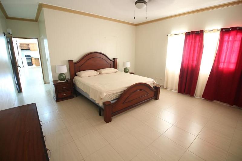 Super Spacious 4BR 4 5BA Villa w pool in Sosua - image 22