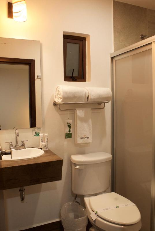 Hotel Real Alma - image 12