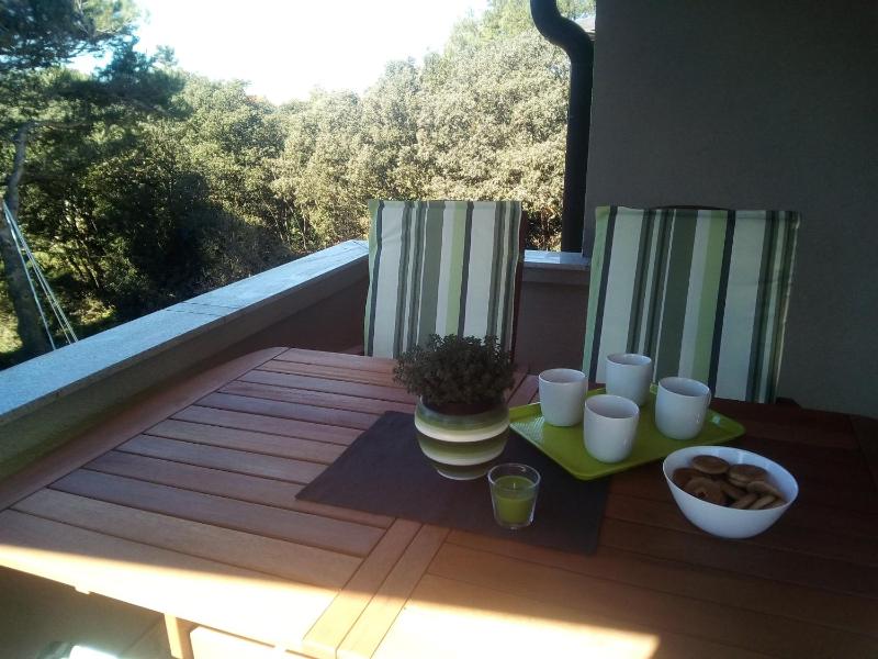 One-Bedroom Apartment with Terrace and Sea View image 2