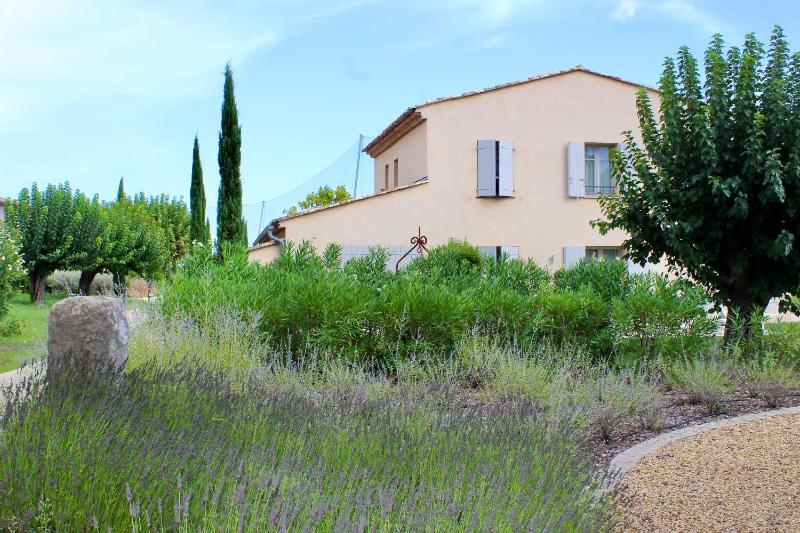 One-Bedroom Deluxe Apartment with Garden image 4
