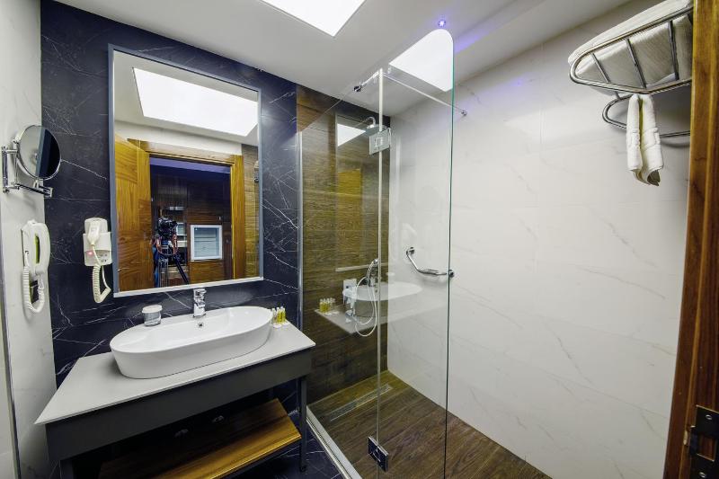 Mobility Accessible Room, Roll-In Shower image 2