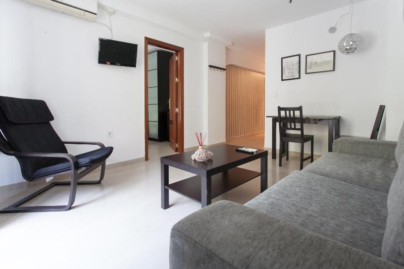 One-Bedroom Apartment in first floor (Laraña 1.1) image 4