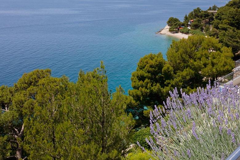 Apartments by the sea Brela Makarska - 19205 - image 18