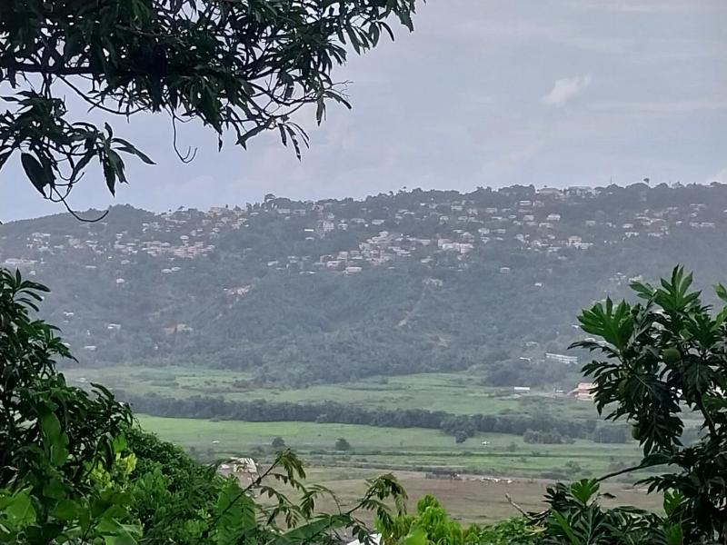 Avocado Suites - image 11
