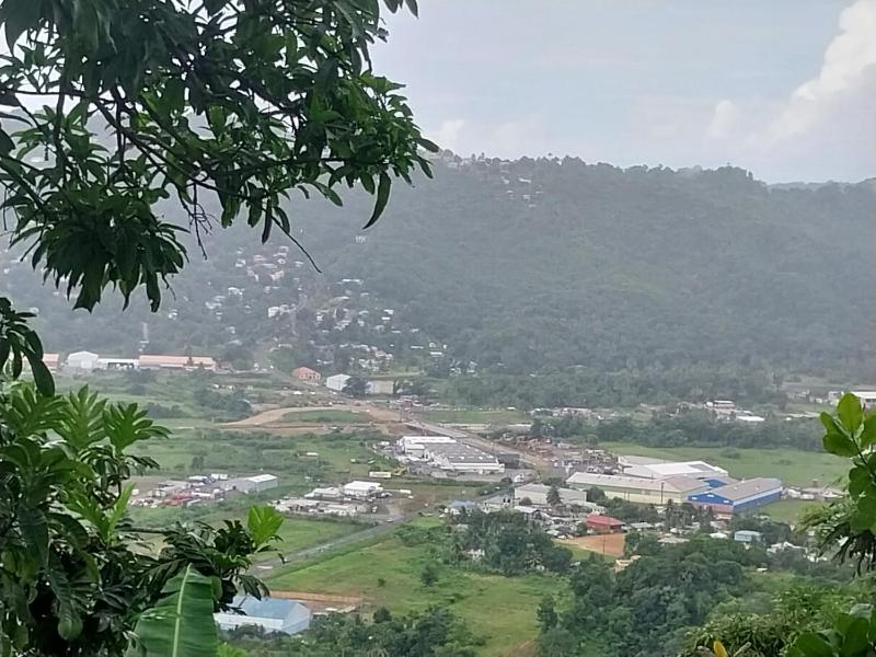 Avocado Suites - image 14