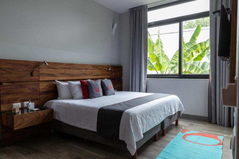 El Callejón Hotel Boutique - image 7