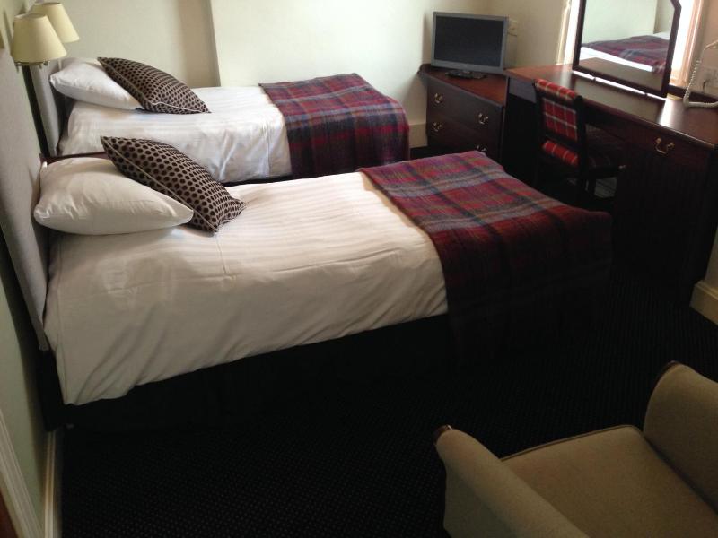 Standard Twin Room image 4