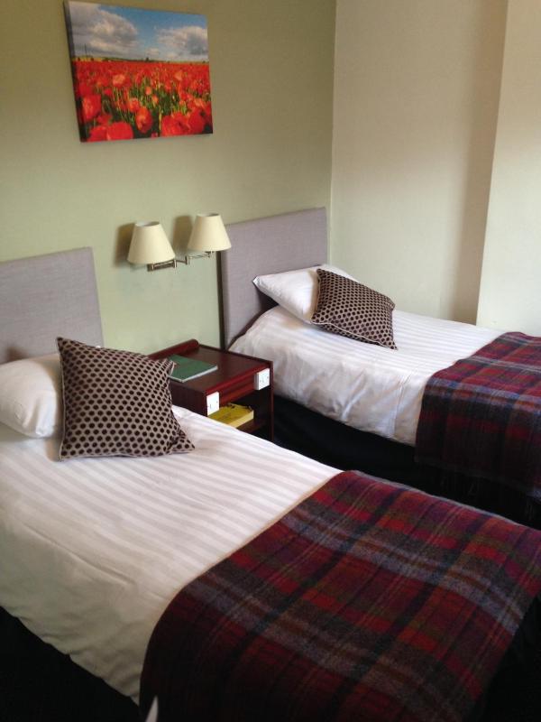Standard Twin Room image 2