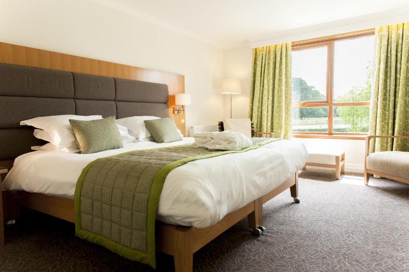 Standard Double or Twin Room image 4
