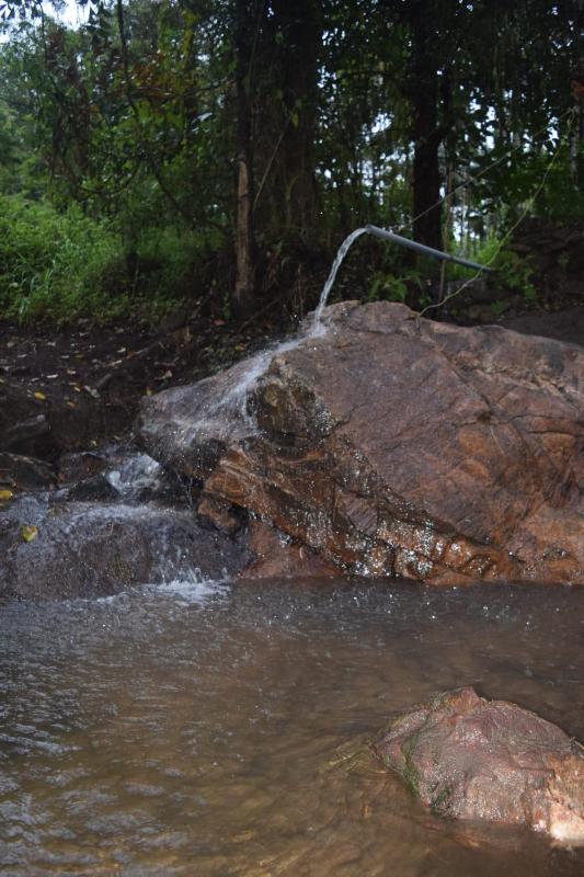 Cave Valley Wayanad - image 34
