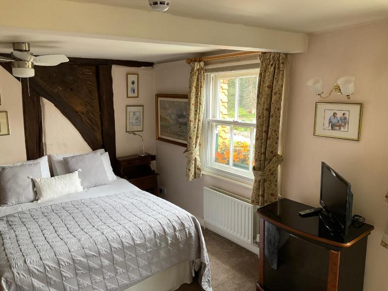 Superior Suite image 3