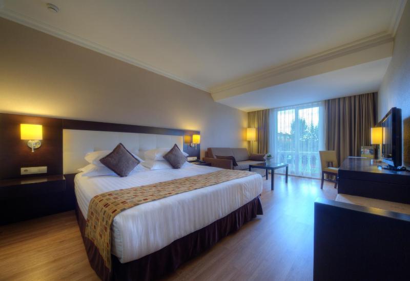 Deluxe Double Room image 1